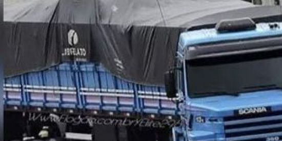 Imagem do grupo de WhatsApp GRAND TRUCK SIMULATOR