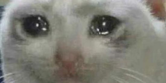 Imagem do grupo de WhatsApp ZOEIRAS DOS CRIA