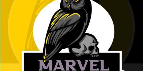 Imagem do grupo de WhatsApp [Recrutamento oficial!] MARVEL