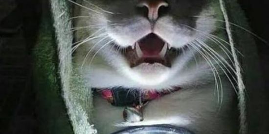 Imagem do grupo de WhatsApp Natal de mer😡