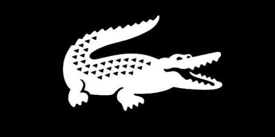 Imagem do grupo de WhatsApp 🐊ENGAJAMENTO LACOSTE🐊