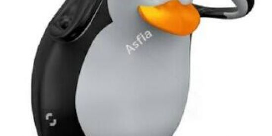 Imagem do grupo de WhatsApp Shit pinguim🐧😎