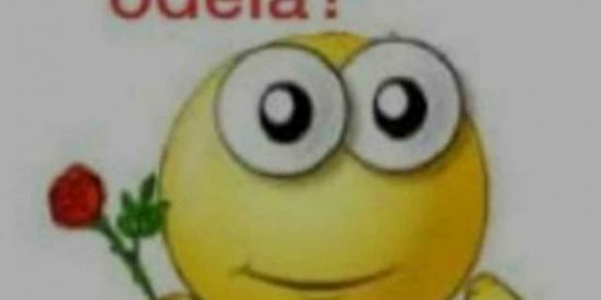 Imagem do grupo de WhatsApp woods_999