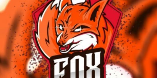 Imagem do grupo de WhatsApp 🐍TRIAGEM EQP FOX🦊