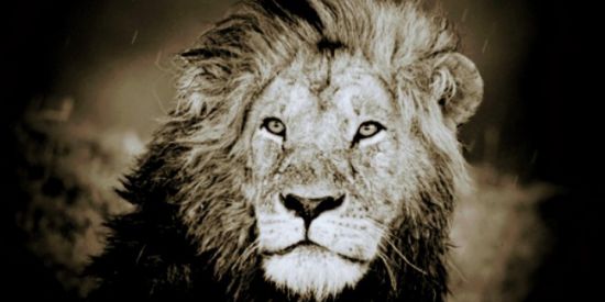 Imagem do grupo de WhatsApp Ajuda ao próximo