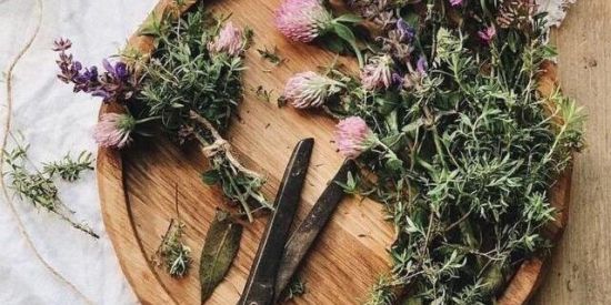 Imagem do grupo de WhatsApp ✨Grupo Mágico🦋