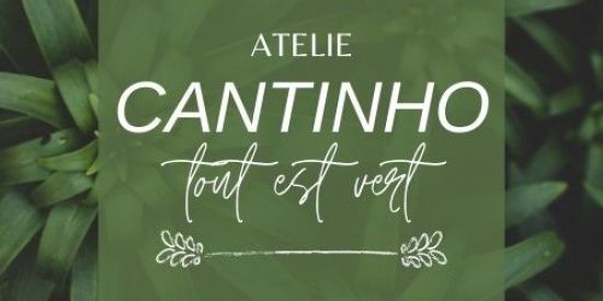 Imagem do grupo de WhatsApp Cantinho Tout est vert