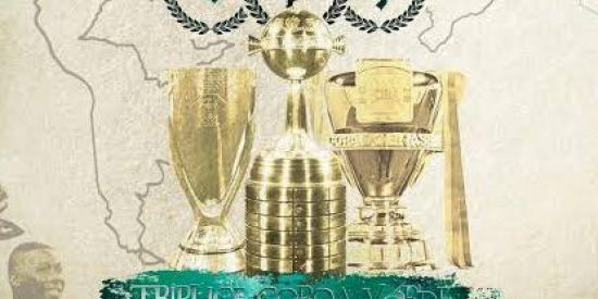 Imagem do grupo de WhatsApp Meu Mundo Palmeiras ⚪🟢🌎