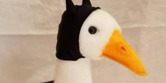 Imagem do grupo de WhatsApp Shitpost da Zueira®