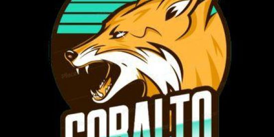 Imagem do grupo de WhatsApp Seguidores Recrutamento bonde cobalto ♚CB'ร♚