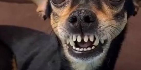 Imagem do grupo de WhatsApp Na. Adianta bloquiar🥲🤷🏼‍♀️