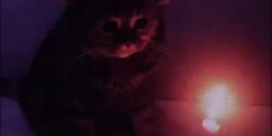 Imagem do grupo de WhatsApp ✘FAMILIA ESTRANHA✘