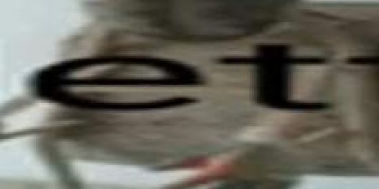 Imagem do grupo de WhatsApp bonde do Netto