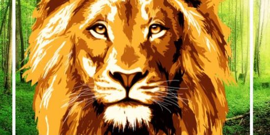 Imagem do grupo de WhatsApp FIRMES NA FÉ🙏🏼📖