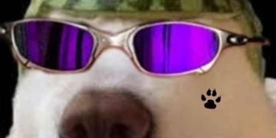 Imagem do grupo de WhatsApp Shitpost