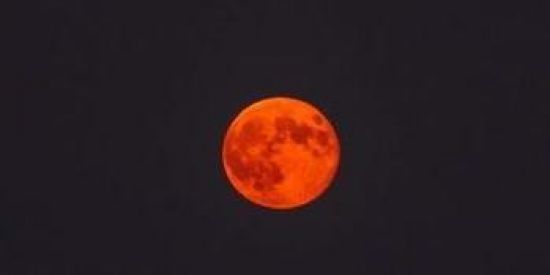 Imagem do grupo de WhatsApp ANJOS DA NOITE🌓🌙🌓