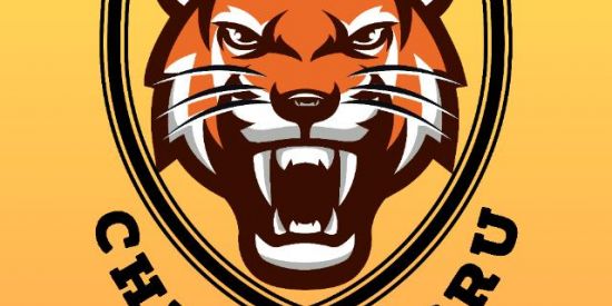 Imagem do grupo de WhatsApp ⚽ CHEN JINGRU 5 por $45 ⚽