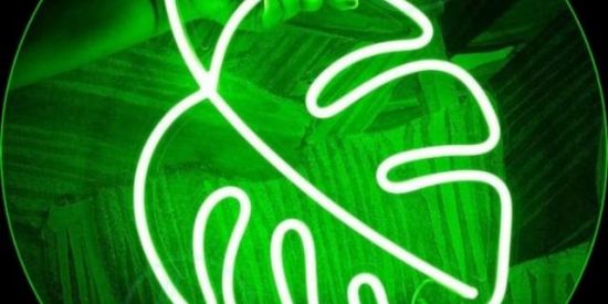 Imagem do grupo de WhatsApp 💚Recrutamento ✧Rɠ'ร✧ 🐍