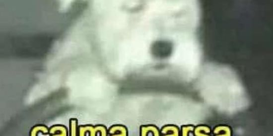 Imagem do grupo de WhatsApp ÁFRICANOS ALBINOS ✅