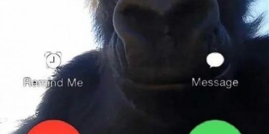 Imagem do grupo de WhatsApp super idol