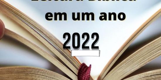 Imagem do grupo de WhatsApp Leitura da Bíblia 1 Ano