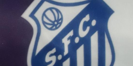 Imagem do grupo de WhatsApp Santos FC Aribirí  ES🇱🇺🇧🇷BR