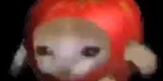 Imagem do grupo de WhatsApp Sca de meme$₩¥