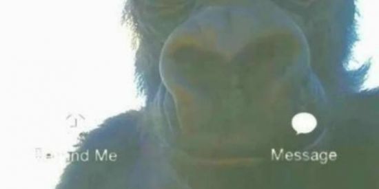 Imagem do grupo de WhatsApp ⚡AL€ÅTØRĮAM€NT3⚡