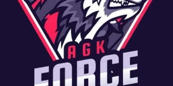 Imagem do grupo de WhatsApp AGK FORCE RECRUTAMENTO 💫