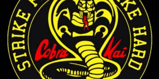 Imagem do grupo de WhatsApp Cobra kai