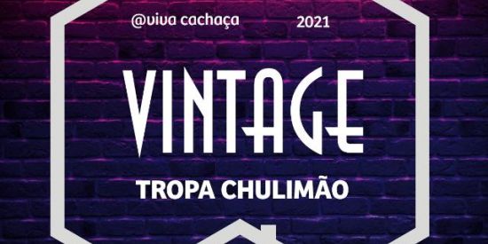 Imagem do grupo de WhatsApp Tropa chulimão