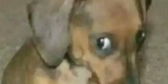 Imagem do grupo de WhatsApp namoro ou amzd 😁🥺😭🥵😈