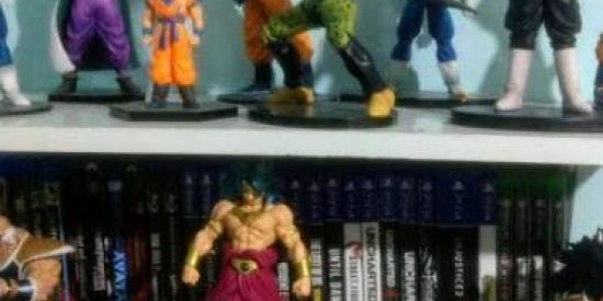 Imagem do grupo de WhatsApp bonecos dragon z