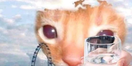 Imagem do grupo de WhatsApp Tops tiradas 2010