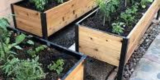 Imagem do grupo de WhatsApp 💚hortas criativas🌱🪴