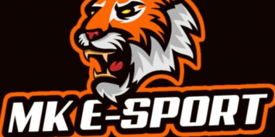 Imagem do grupo de WhatsApp MK_E-ESPOT