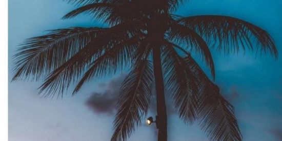 Imagem do grupo de WhatsApp Família virtual