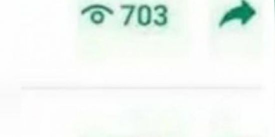 Imagem do grupo de WhatsApp Visualização de status