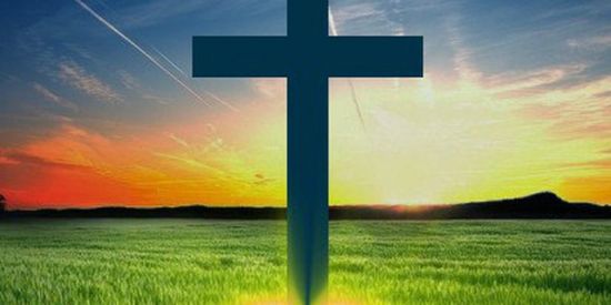 Imagem do grupo de WhatsApp ESTUDO BÍBLICO DIÁRIO