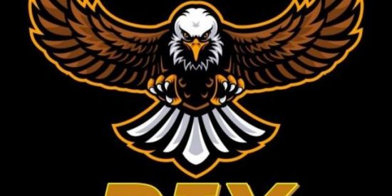 Imagem do grupo de WhatsApp DIÁRIO P I X SOLO