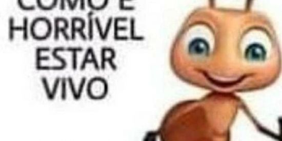 Imagem do grupo de WhatsApp meus fãs🦆