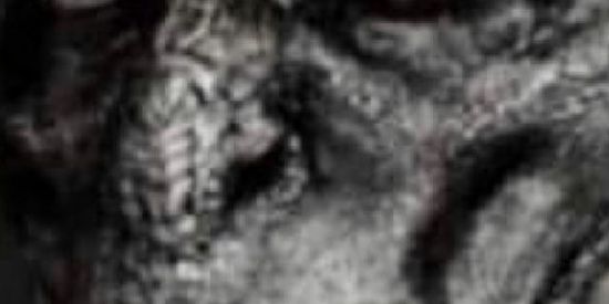 Imagem do grupo de WhatsApp Shitpost e bate papo