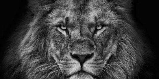 Imagem do grupo de WhatsApp CAMPEÕES DE CRISTO✝️❤️