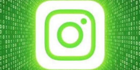 Imagem do grupo de WhatsApp Projeto de seguidores