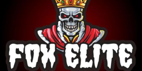 Imagem do grupo de WhatsApp RECRUTAMENTO FOX ELITE