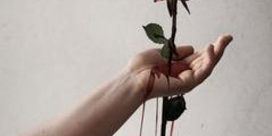 Imagem do grupo de WhatsApp bloody flower⛓️  (Triagem)