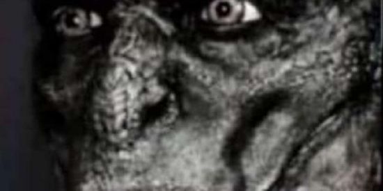 Imagem do grupo de WhatsApp Shit Dos Crias