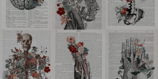 Imagem do grupo de WhatsApp Divulgação de livros❤️