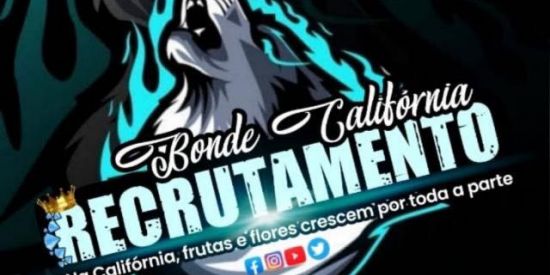 Imagem do grupo de WhatsApp _🍁тяıαgєм ♕cl'α♕ 3