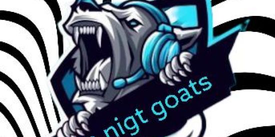 Imagem do grupo de WhatsApp Xt da the nogt goats